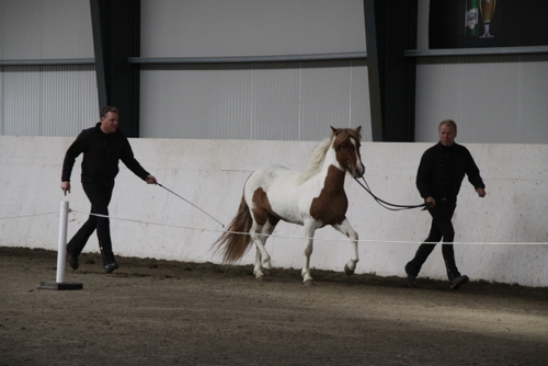 2009-09-03_sis_hella09_001