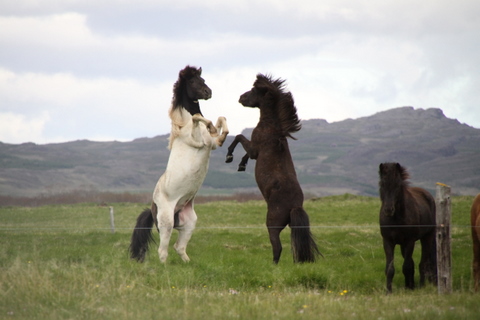 ketilsstair_110610_001