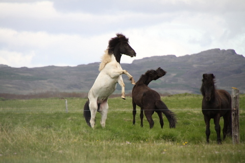 ketilsstair_110610_003