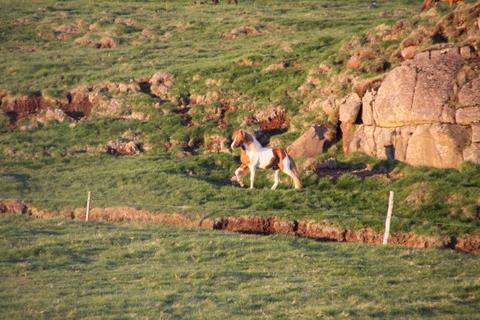 ketilsstair_110610_016