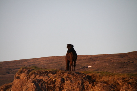 ketilsstair_110610_017