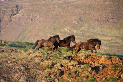 ketilsstair_110610_021