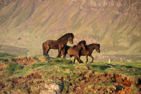 ketilsstair_110610_023