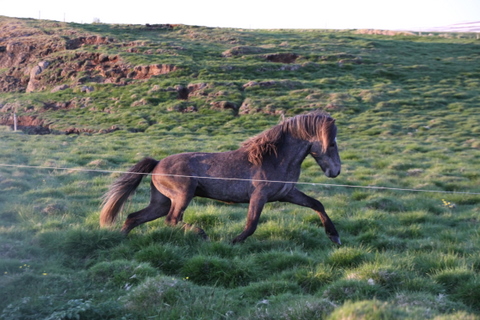 ketilsstair_110610_031