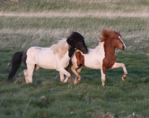 ketilsstair_110610_038