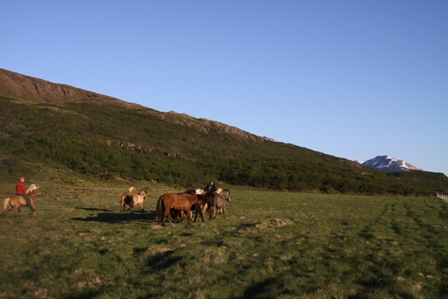 vertutgmlu_folarnir_110610_012