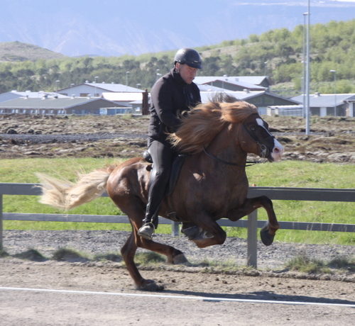 hafnarfj._26_mai10_013 hafnarfj._26_mai10_013