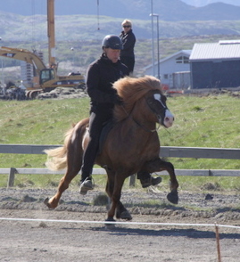 hahnarfj.25_og_27_mai10_002-1 hahnarfj.25_og_27_mai10_002-1