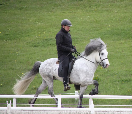 hvati_hella99_2 hvati_hella99_2