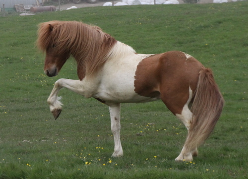 ljni_og_amazon_jn10_007