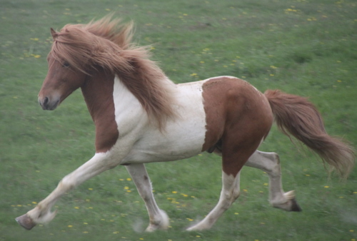 ljni_og_amazon_jn10_010