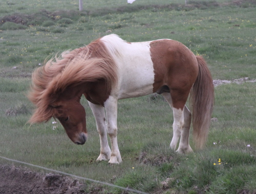 ljni_og_amazon_jn10_016