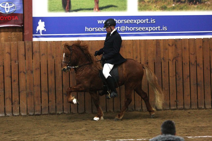 vakar_meistarad._2011_001