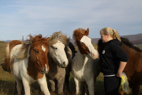 ausurlandhaust_09_005 ausurlandhaust_09_005