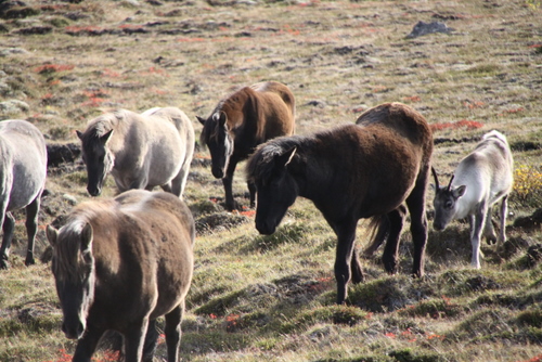 ausurlandhaust_09_010 ausurlandhaust_09_010