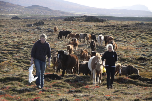 ausurlandhaust_09_013 ausurlandhaust_09_013