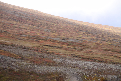 ausurlandhaust_09_030 ausurlandhaust_09_030