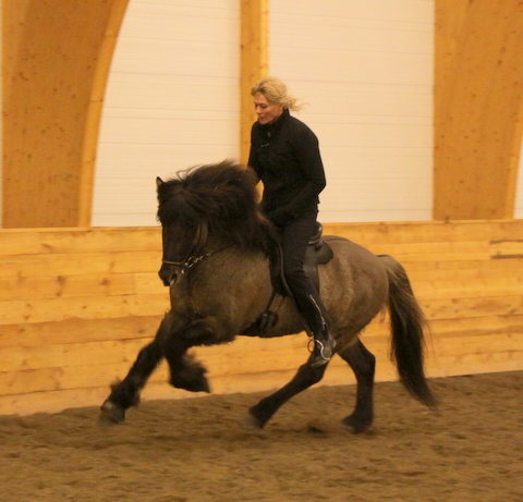 borba_jan11_011 borba_jan11_011