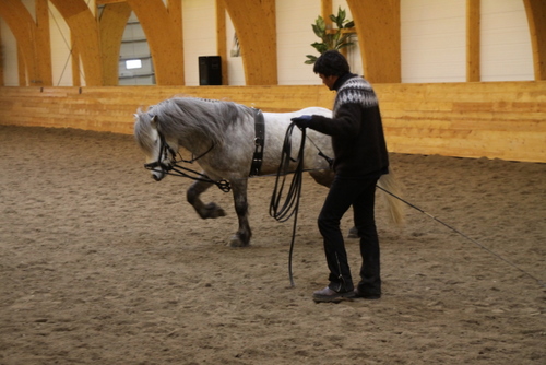 borba_mars10_004 borba_mars10_004