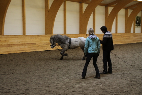 borba_mars10_011 borba_mars10_011