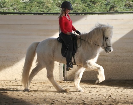 cl_mars11_001 cl_mars11_001