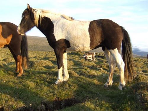 dscf8991-1 dscf8991-1