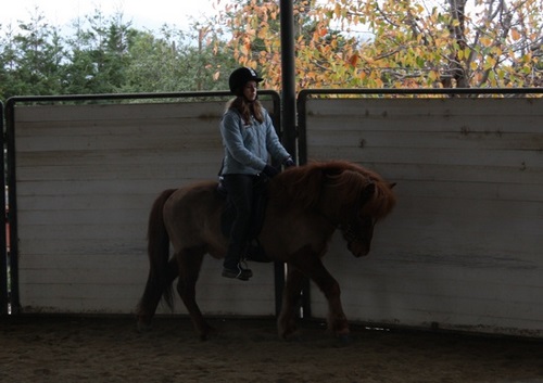 flying_ranch_des09_2 flying_ranch_des09_2