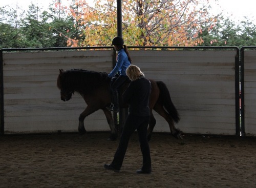 flying_ranch_des09_3 flying_ranch_des09_3