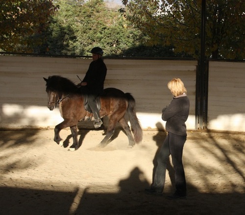 flying_ranch_des09_5 flying_ranch_des09_5