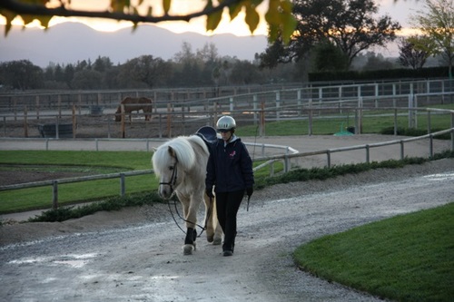 flying_ranch_des09_6 flying_ranch_des09_6