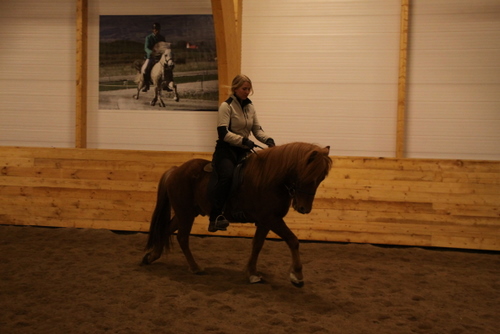 gormur_og_freyja_001 gormur_og_freyja_001