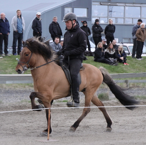 hafnarfj._28_mai_yfirlit_023-1 hafnarfj._28_mai_yfirlit_023-1