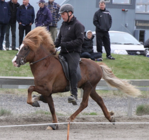 hafnarfj._28_mai_yfirlit_049 hafnarfj._28_mai_yfirlit_049