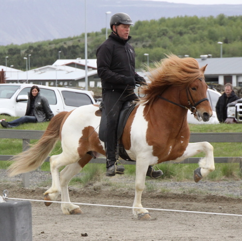 hafnarfj._28_mai_yfirlit_072 hafnarfj._28_mai_yfirlit_072