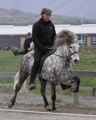 hafnarfj._28_mai_yfirlit_081 hafnarfj._28_mai_yfirlit_081