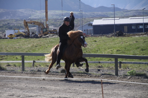 hahnarfj.25_og_27_mai10_002 hahnarfj.25_og_27_mai10_002