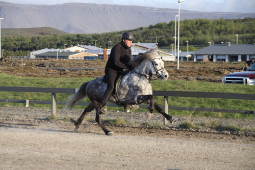 hahnarfj.25_og_27_mai10_009 hahnarfj.25_og_27_mai10_009