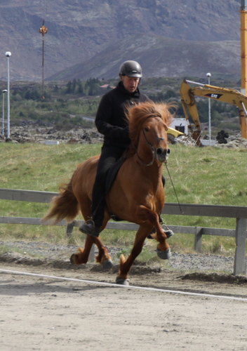 hlbari_og_hrollur10_002 hlbari_og_hrollur10_002