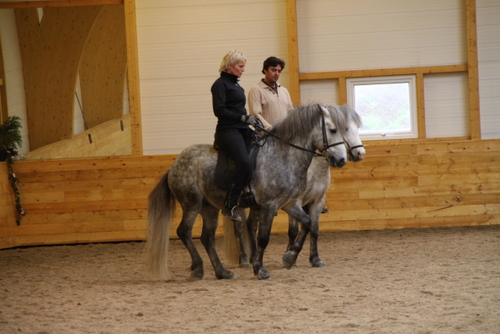 kraflar_s_5 kraflar_s_5