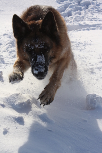 mars10_003 mars10_003