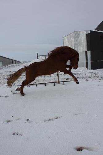 mars10_005 mars10_005