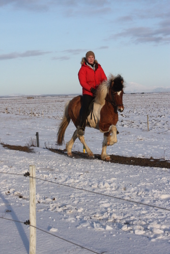 mars10_011 mars10_011