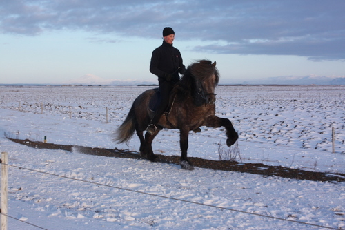 mars10_013 mars10_013