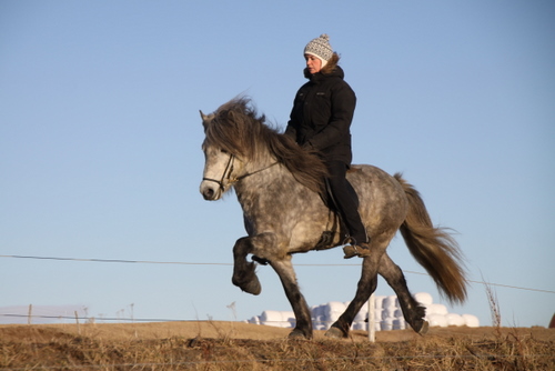 mergur_og_co.feb.10_001 mergur_og_co.feb.10_001