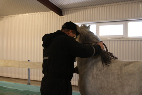 sund10_006 sund10_006