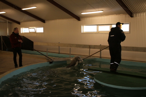 sund10_007 sund10_007