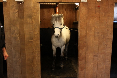 sund10_008 sund10_008