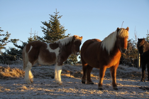 vetur_25_nov._2010_002 vetur_25_nov._2010_002