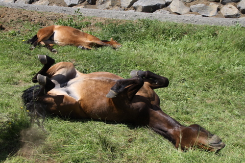 drift_og_htign_i_slbai_001