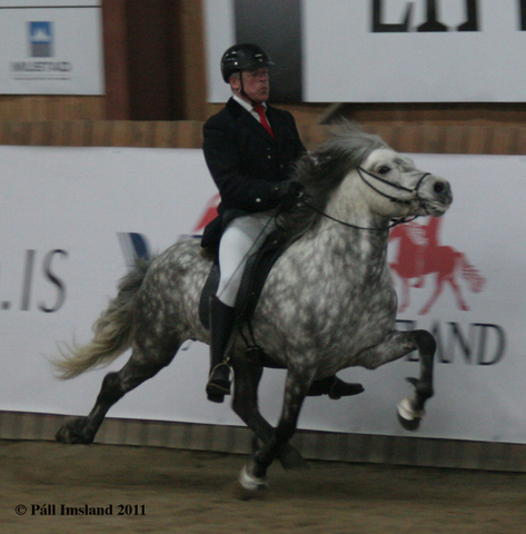 gandlfur_og_hugur_001